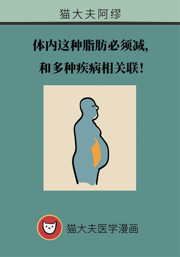 和多种疾病相关联！体内这种脂肪必须减