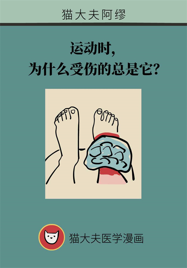 运动时踝关节为什么容易受伤？专家详解