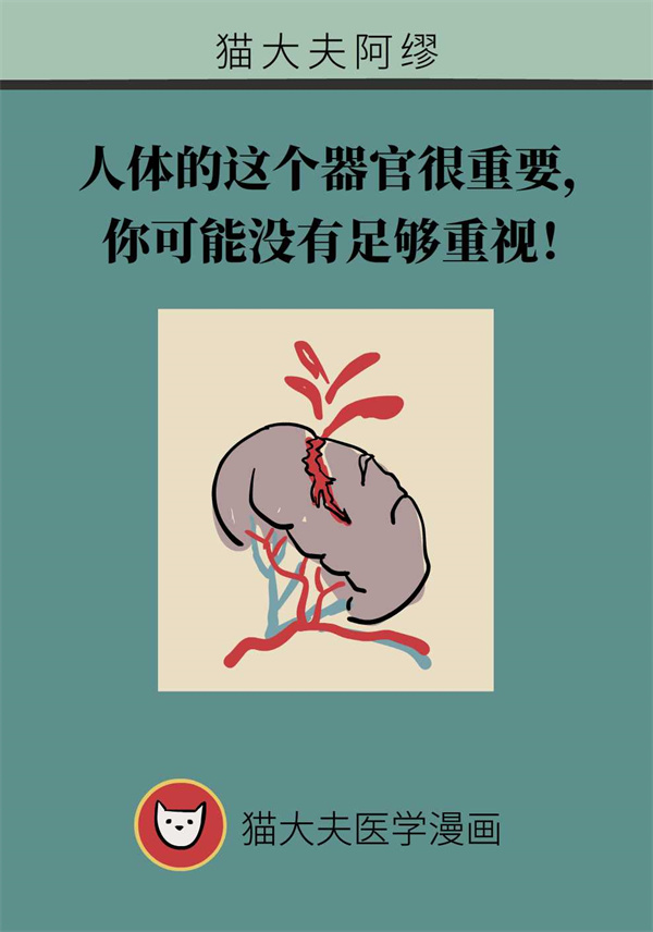 人体的这个器官很重要，你可能没有足够重视！